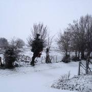 Foncquevillers 11/12/2017