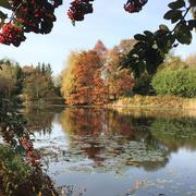 Maël-Carhaix 11/12/2017