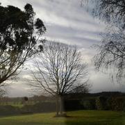 Carentoir 14/12/2017