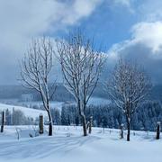 La Chamba 17/12/2017