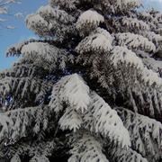 Hauteville-Lompnes 18/12/2017