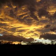 Trie-sur-Baïse 01/03/2010