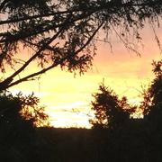 Neuves-Maisons 31/12/2017