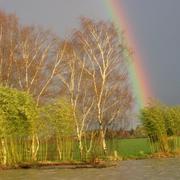 Saulzais-le-Potier 01/03/2010