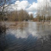 Saint-André-des-Eaux 01/03/2010