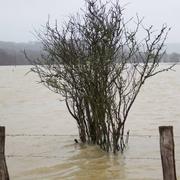 Vitrey-sur-Mance 04/01/2018