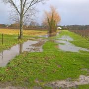 Saint-Ciers-sur-Gironde 04/01/2018