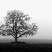 Châtillon-sur-Cher 07/01/2018