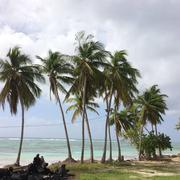 Grand-Bourg 07/01/2018