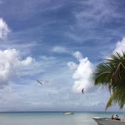 Saint-Louis 09/01/2018