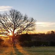 Saint-Martin-d'Ary 10/01/2018