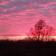 Pont-sur-Sambre 14/01/2018