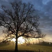 Saint-Privat-des-Prés 19/01/2018