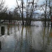Saint-Aubin-sur-Yonne 24/01/2018