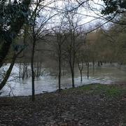 Brienne-la-Vieille 24/01/2018