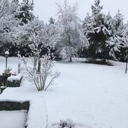 Saint-Anthème 26/01/2018