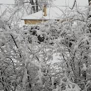 Saint-Anthème 26/01/2018