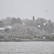 Étoile-sur-Rhône 26/01/2018