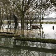 Marcilly-sur-Seine 28/01/2018