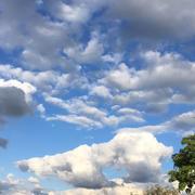 Saint-Germier 30/01/2018