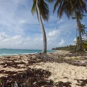 Capesterre-de-Marie-Galante 31/01/2018