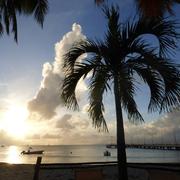 Saint-Louis 31/01/2018