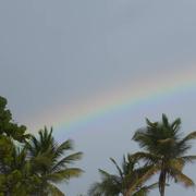 Capesterre-de-Marie-Galante 01/02/2018