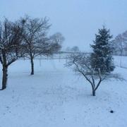 Chambérat 05/02/2018