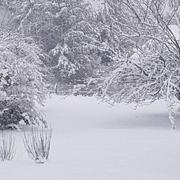 Saint-Hippolyte 05/02/2018