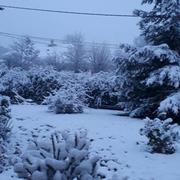 Badecon-le-Pin 06/02/2018