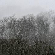 Louvie-Juzon 06/02/2018