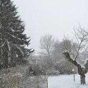 Pommereuil 06/02/2018