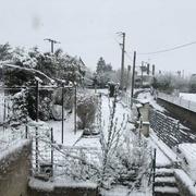 Monthodon 06/02/2018