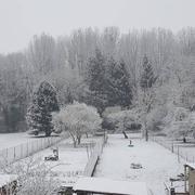 Courmelles 06/02/2018