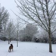 Béceleuf 06/02/2018