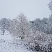 Saint-Maixent 06/02/2018