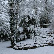 Le Mesnil-sur-Oger 06/02/2018