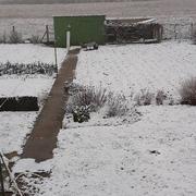 Roches-Prémarie-Andillé 06/02/2018