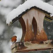 Argent-sur-Sauldre 06/02/2018