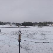 Corcoué-sur-Logne 06/02/2018