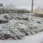 Corcoué-sur-Logne 06/02/2018