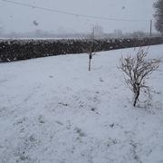 Mozé-sur-Louet 06/02/2018