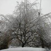 La Celle-Guenand 06/02/2018