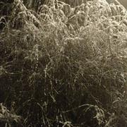 La Celle-Guenand 06/02/2018