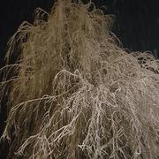 Montacher-Villegardin 06/02/2018