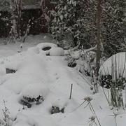 Châteauneuf-en-Thymerais 07/02/2018