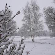 Souligné-Flacé 07/02/2018