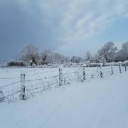 Montfort-le-Gesnois 07/02/2018