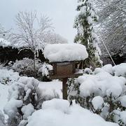 Montfort-le-Gesnois 07/02/2018