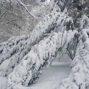 Courmelles 07/02/2018